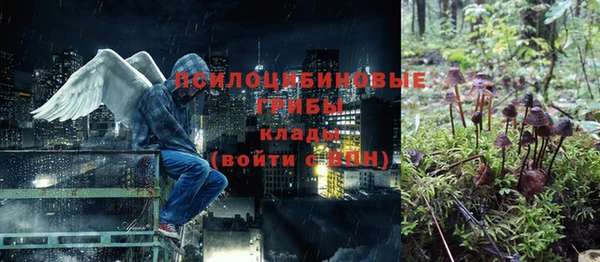 каннабис Бородино