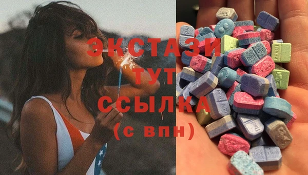 индика Богданович