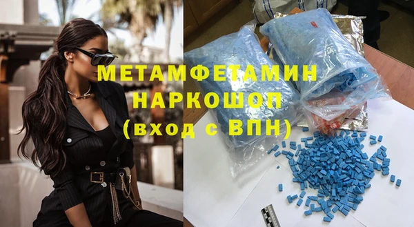 индика Богданович