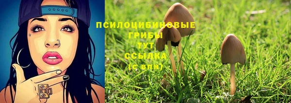 индика Богданович