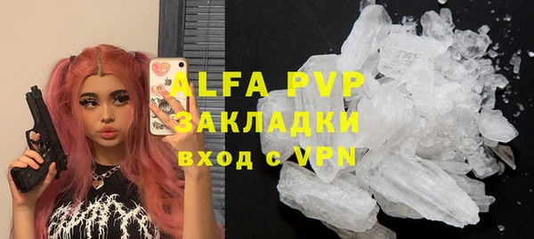 индика Богданович
