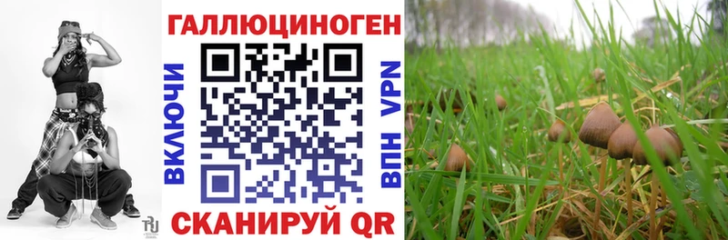 Галлюциногенные грибы прущие грибы  сколько стоит  ОМГ ОМГ сайт  Олёкминск 